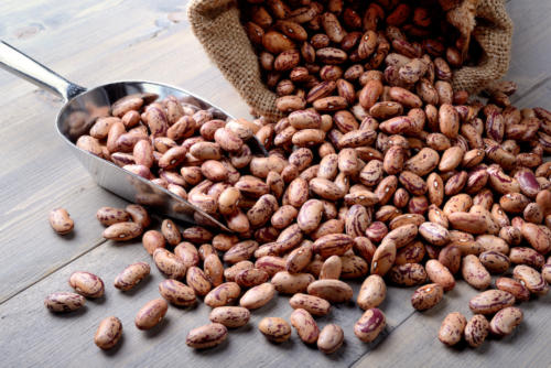 Pinto Beans