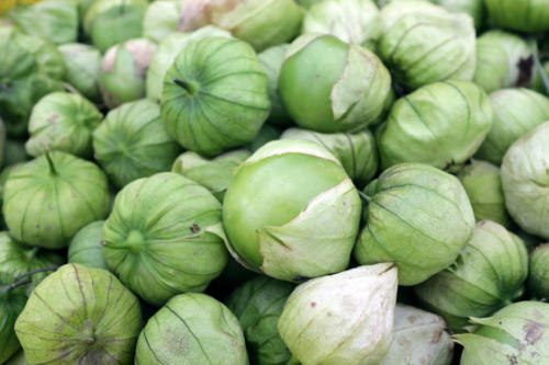 Tomatillo