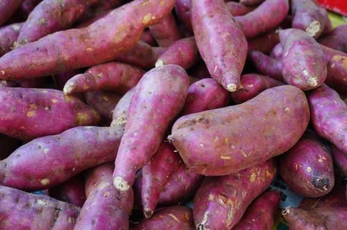 Japanese Yams