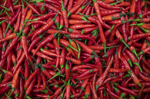 Japones Peppers